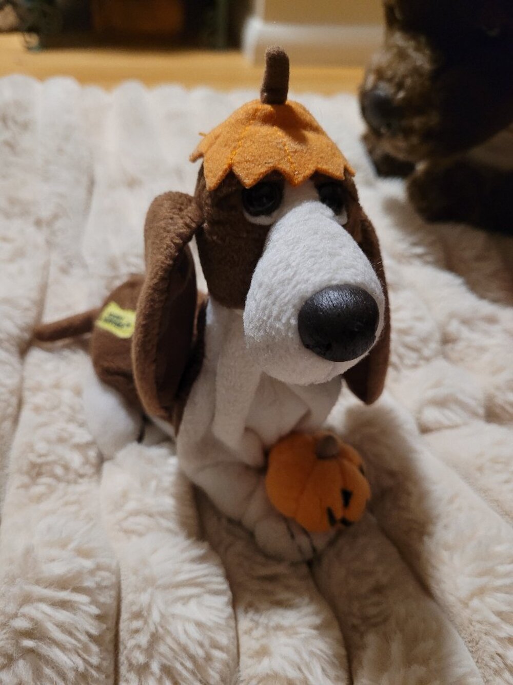 hush puppies basset halloween hound